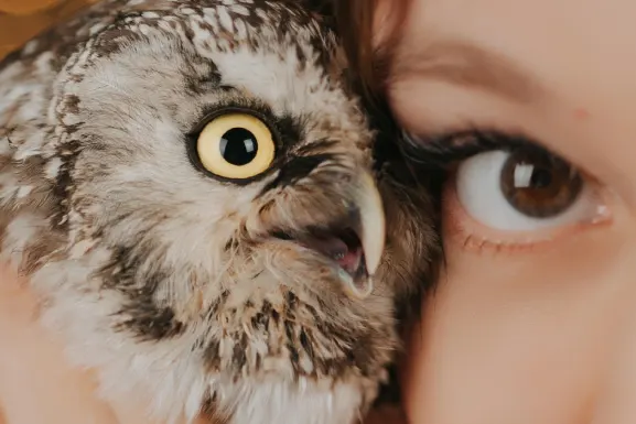 PlayHub Kazino Atbalsts